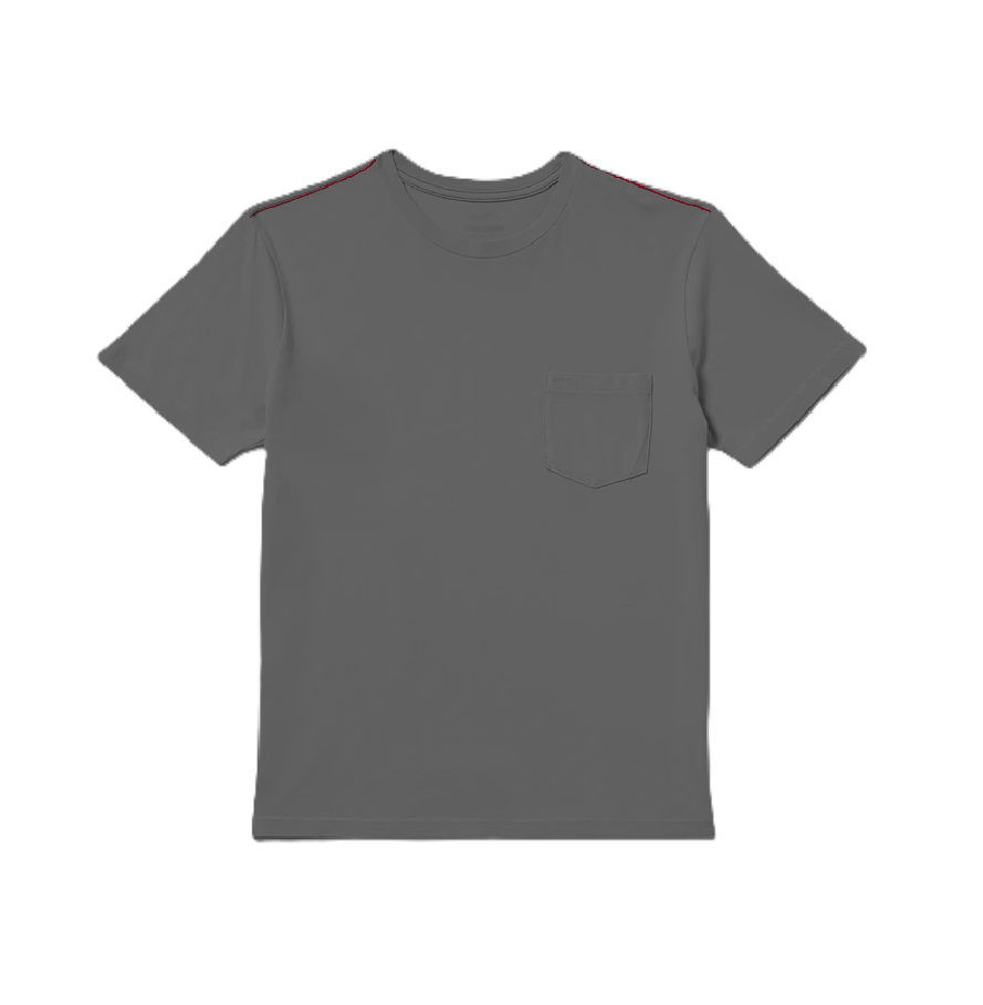 PTC 2 Pigment SS