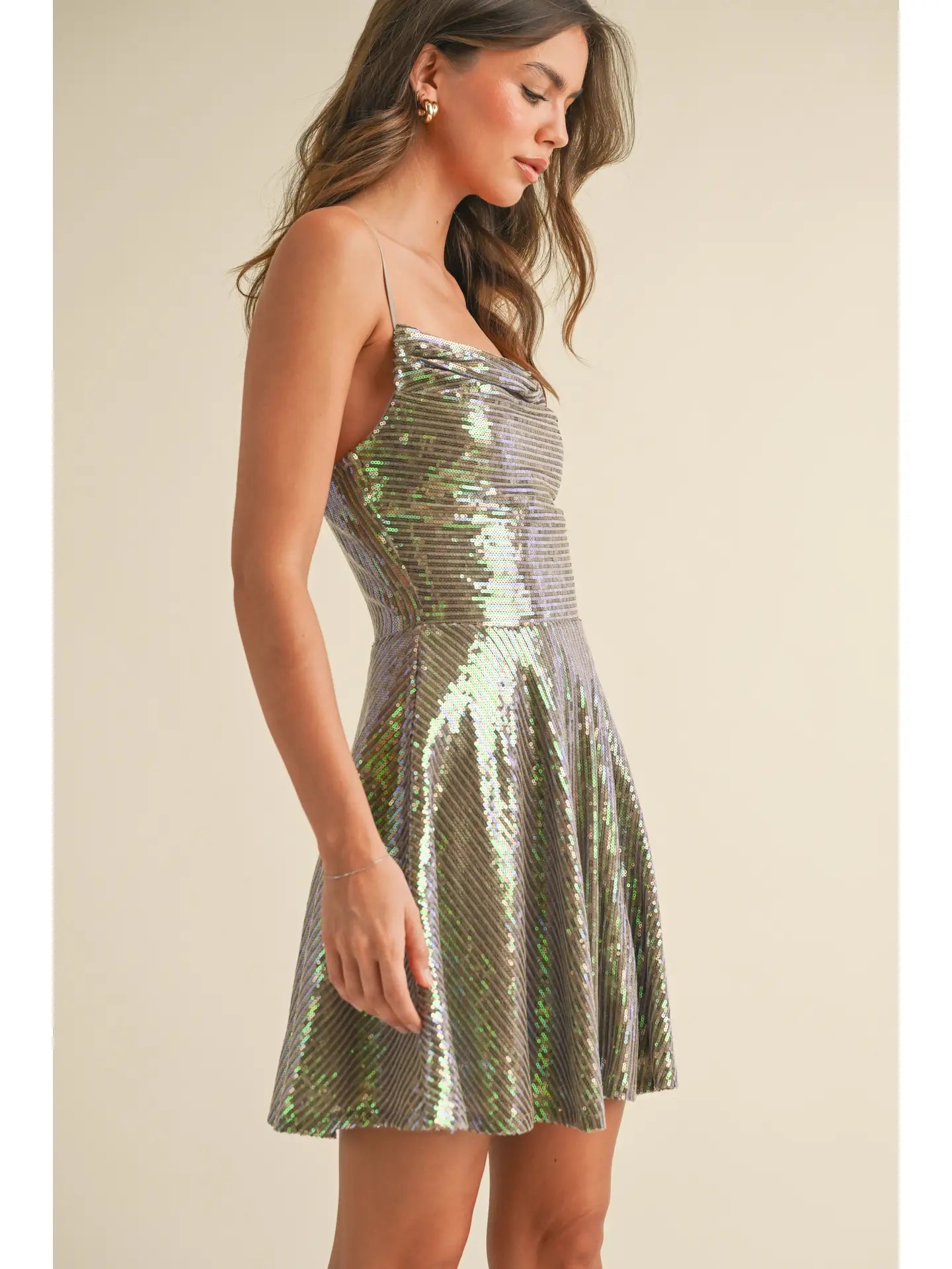 Iridescent Sequin Dress