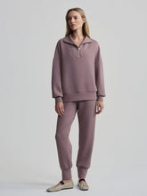 Load image into Gallery viewer, Hawley Half Zip Sweat