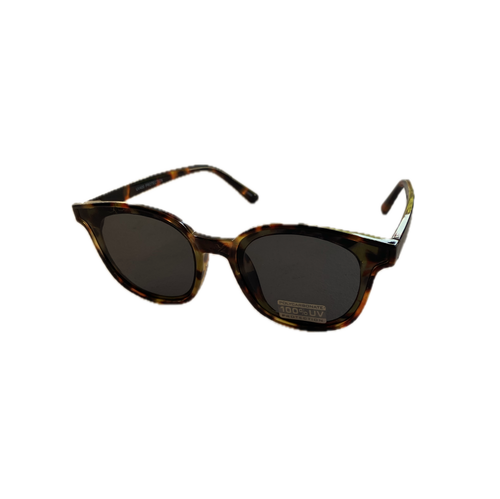 Round Wayfarer Sunglasses