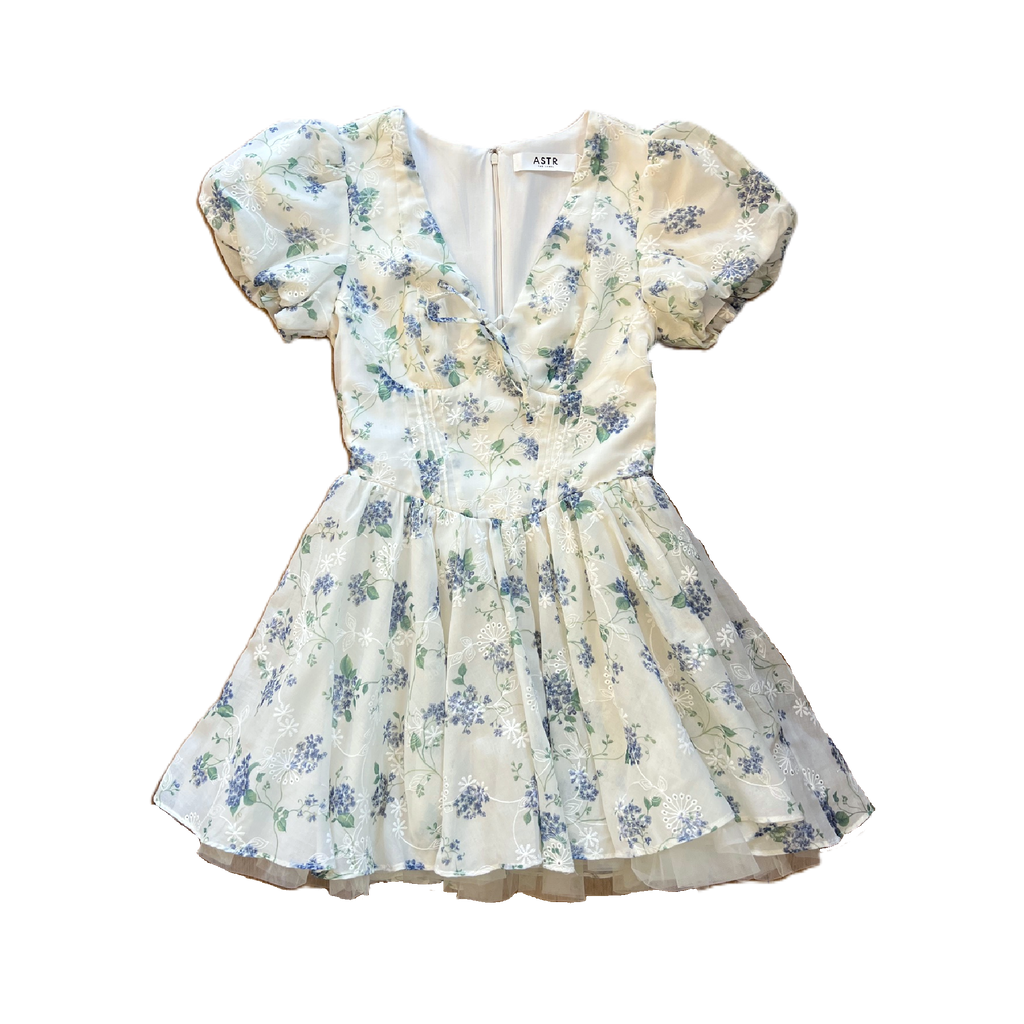 Sommer Puff Sleeve Mini Dress