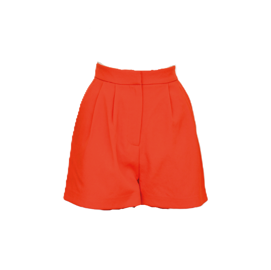 Ariel High Waisted Short