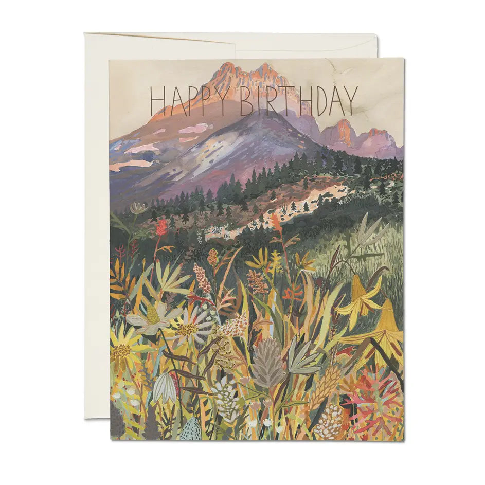 Red Cap Special Occasion Cards