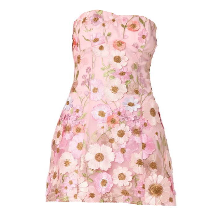 Julisa Embroidered Floral Mini Dress