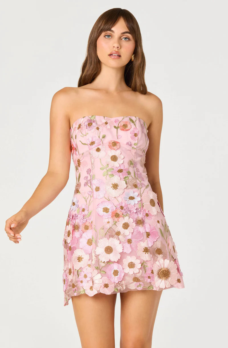 Julisa Embroidered Floral Mini Dress
