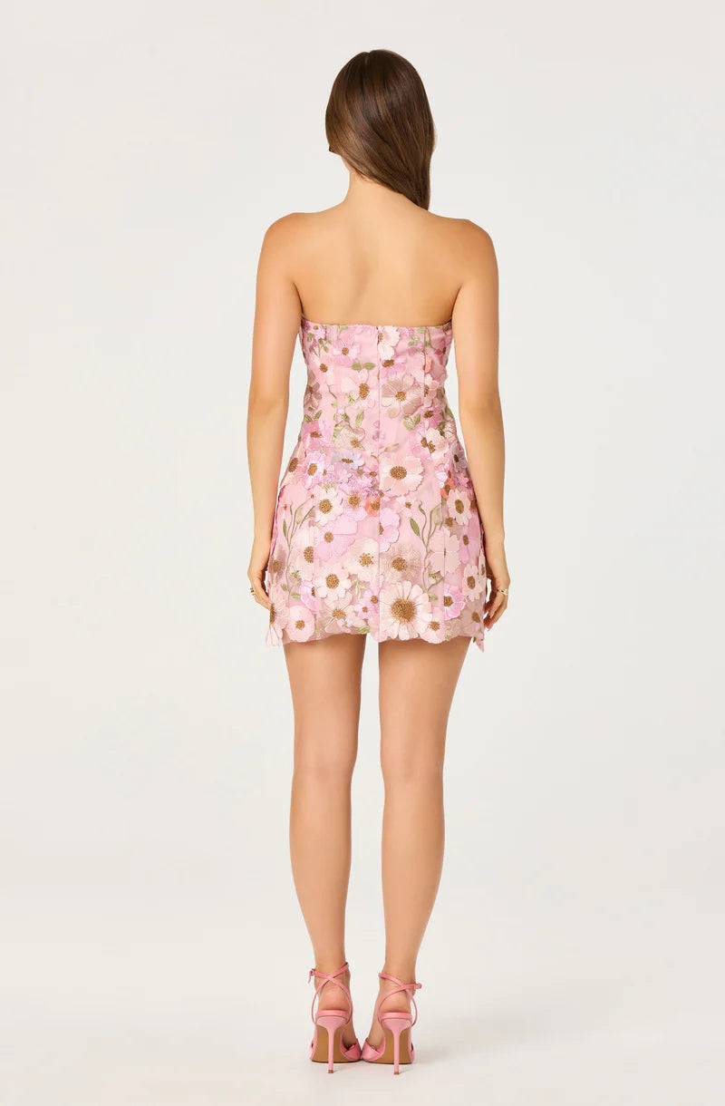 Julisa Embroidered Floral Mini Dress
