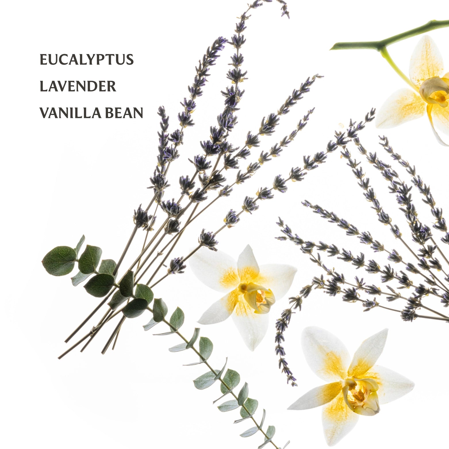 Touchland Handsanitizer- Powermist