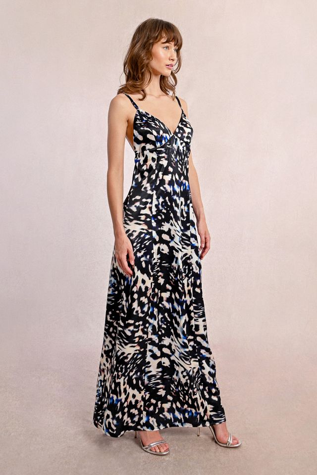 Monica Print Maxi Dress