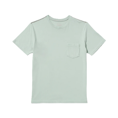PTC 2 Pigment SS