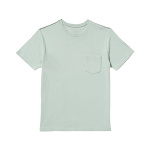 PTC 2 Pigment SS