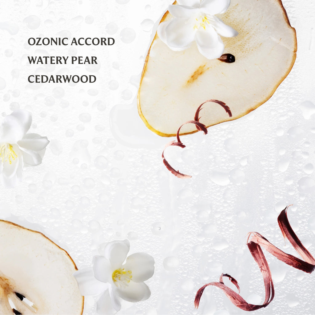 Touchland Handsanitizer- Powermist