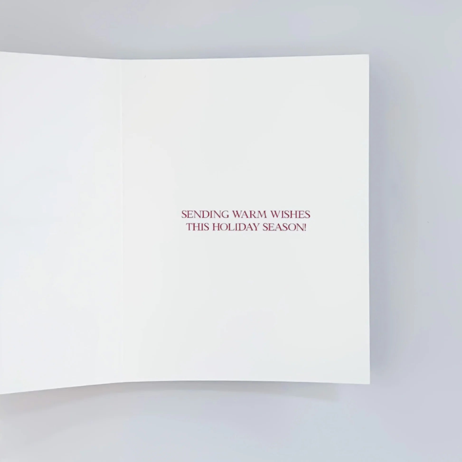 Reindeer Mail Holiday Card