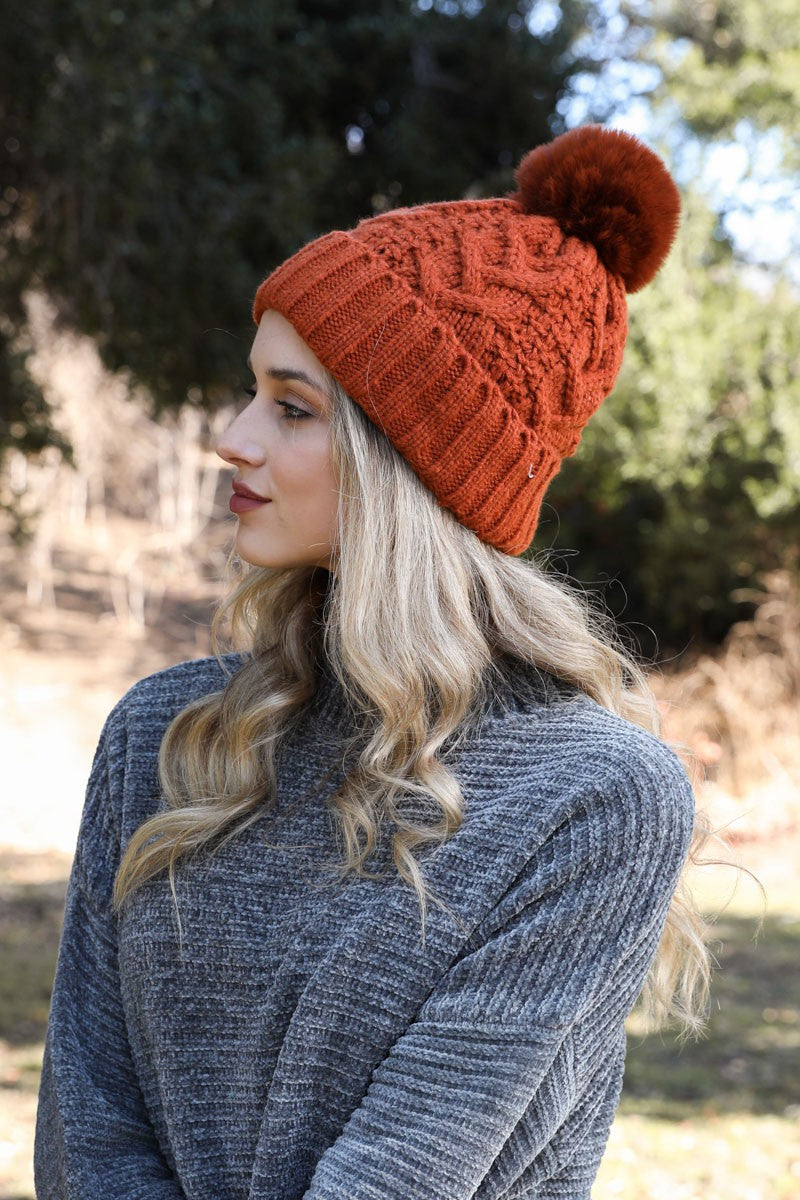 Pom Pom Knit Beanie