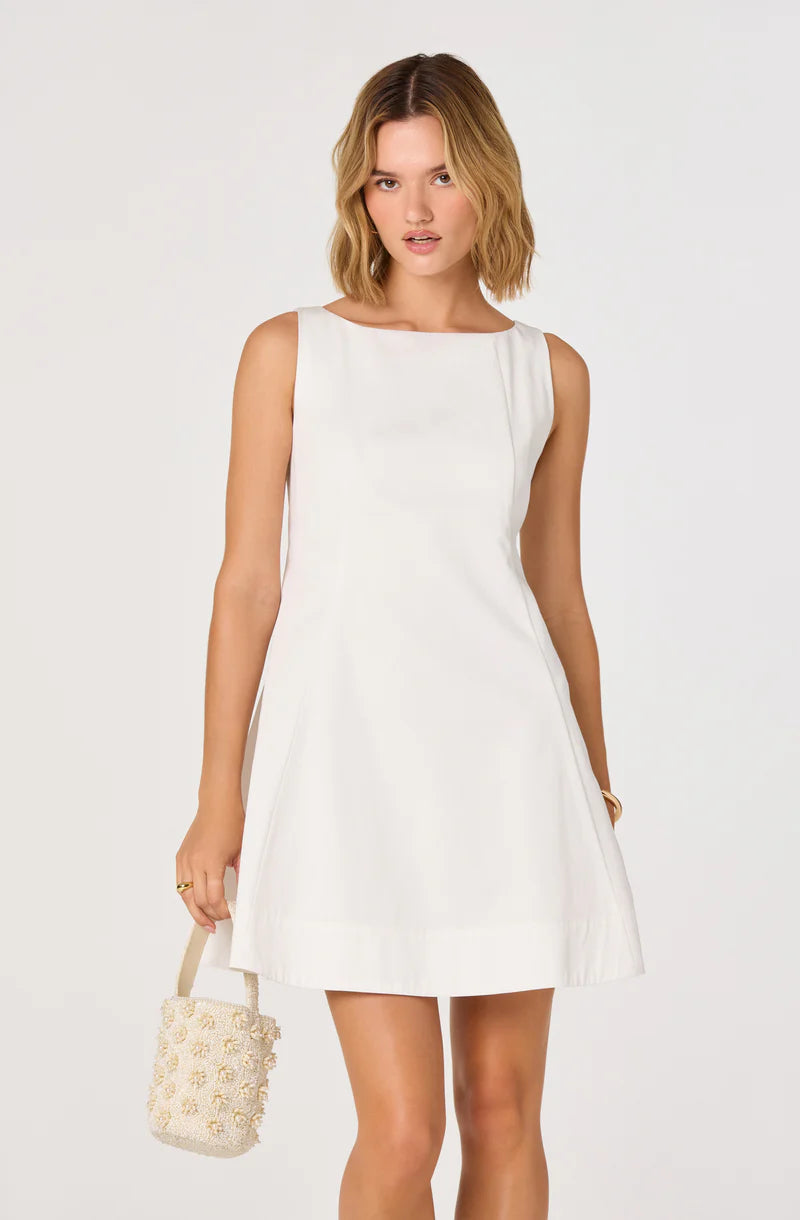 Shyla Bow-Back Mini Dress