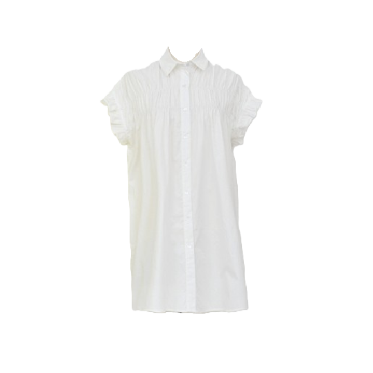 Dallas Frill Shirtdress